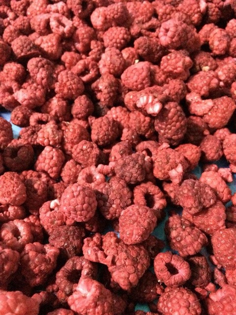 freeze-dried raspberry, freeze-dried berry